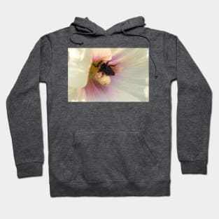 Bee bum Hoodie